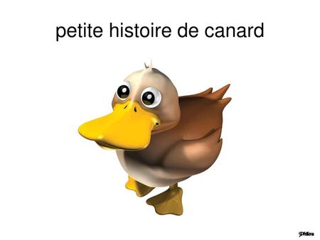 petite histoire de canard