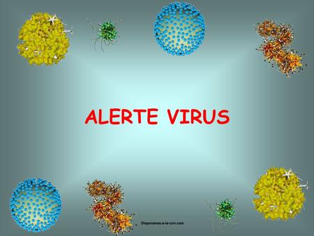 ALERTE VIRUS Diaporamas-a-la-con.com.