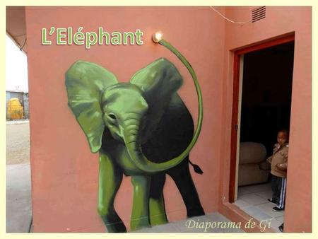 L’Eléphant Diaporama de Gi.