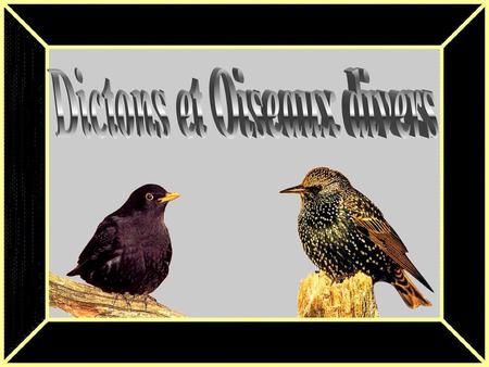 Dictons et Oiseaux divers