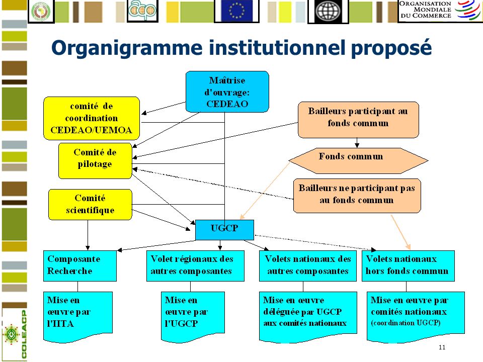Organigramme institutionnel proposé