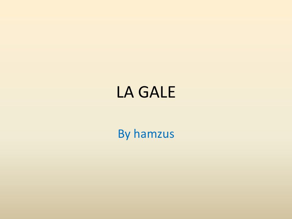 LA GALE By hamzus