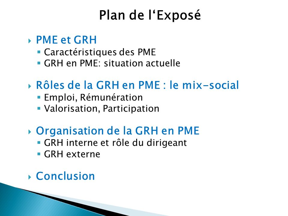 Plan de l‘Exposé PME et GRH Rôles de la GRH en PME : le mix-social