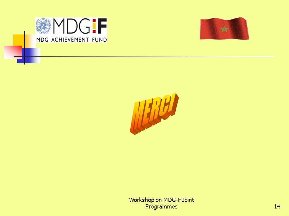 Workshop on MDG-F Joint Programmes