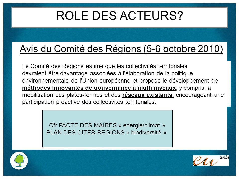 ROLE DES ACTEURS Avis du Comité des Régions (5-6 octobre 2010)