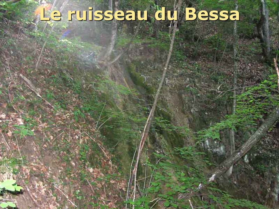Le ruisseau du Bessa