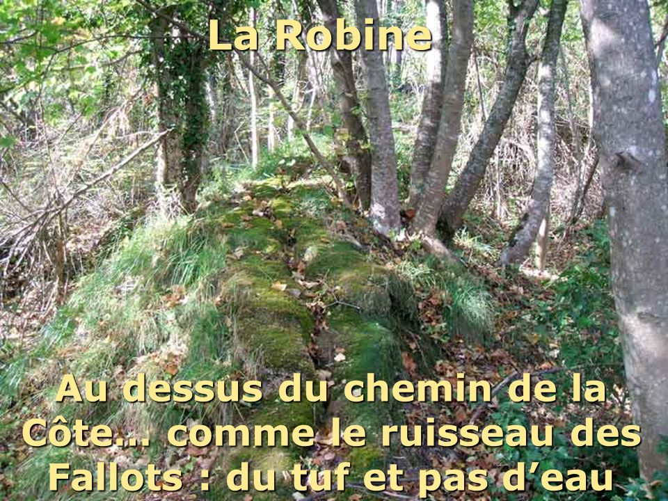 La Robine Ce n’est d’ailleurs pas le seul ruisseau de Claix qui coule sur du tuf… il y a en d’autres superbes!