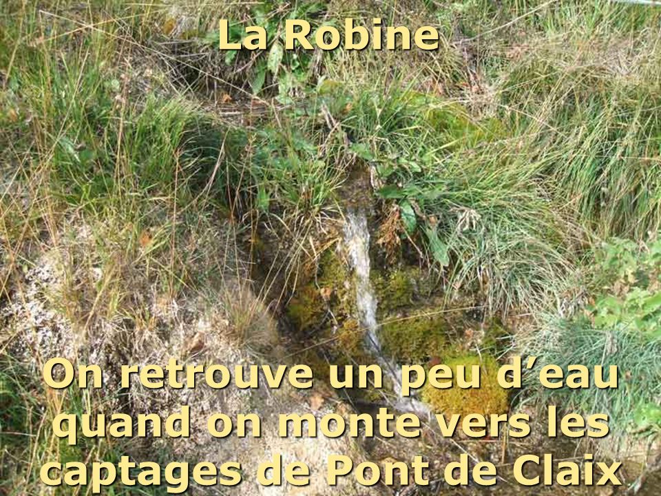 La Robine Mais cette eau à tendance à partir à travers champ… On retrouve un peu d’eau quand on monte vers les captages de Pont de Claix.