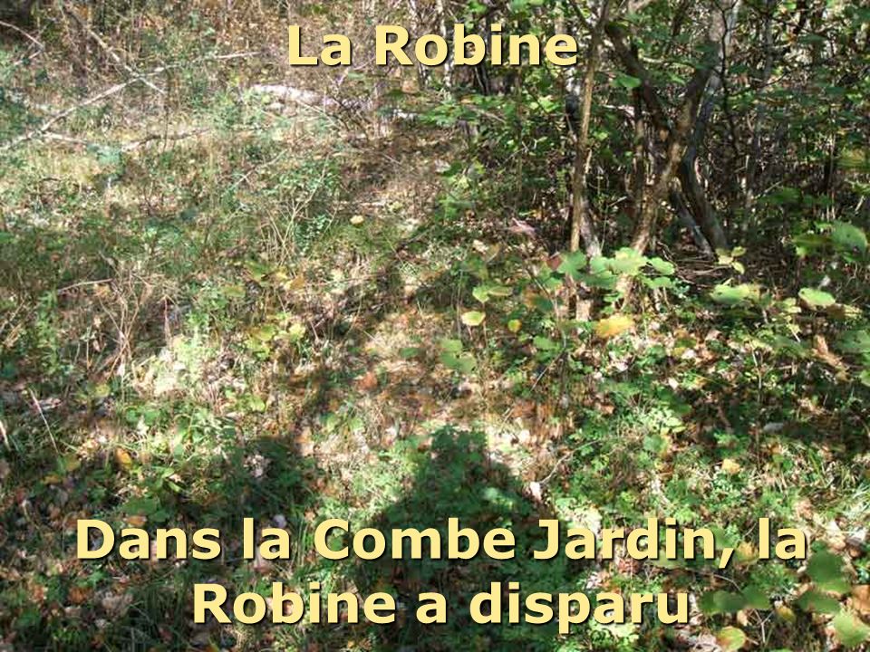 Dans la Combe Jardin, la Robine a disparu