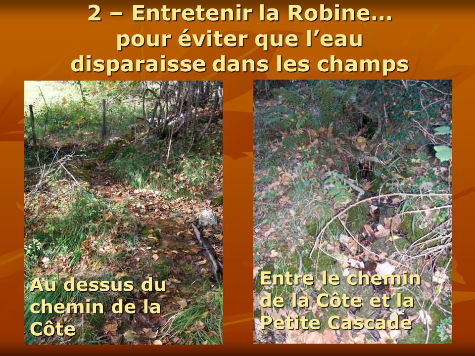 2 – Entretenir la Robine… pour éviter que l’eau disparaisse dans les champs
