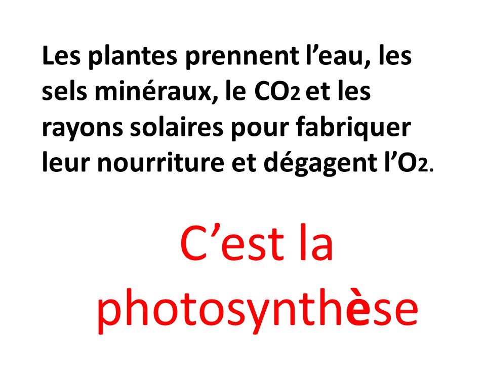 C’est la photosynthèse