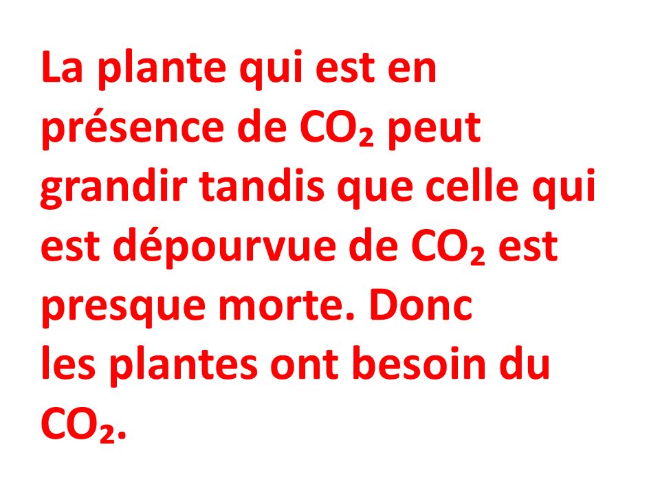 La plante qui est en présence de CO₂ peut grandir tandis que celle qui est dépourvue de CO₂ est presque morte.