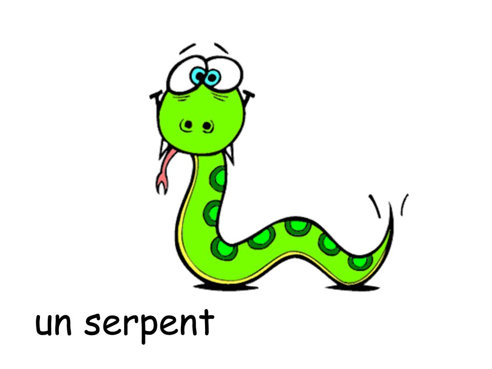 un serpent