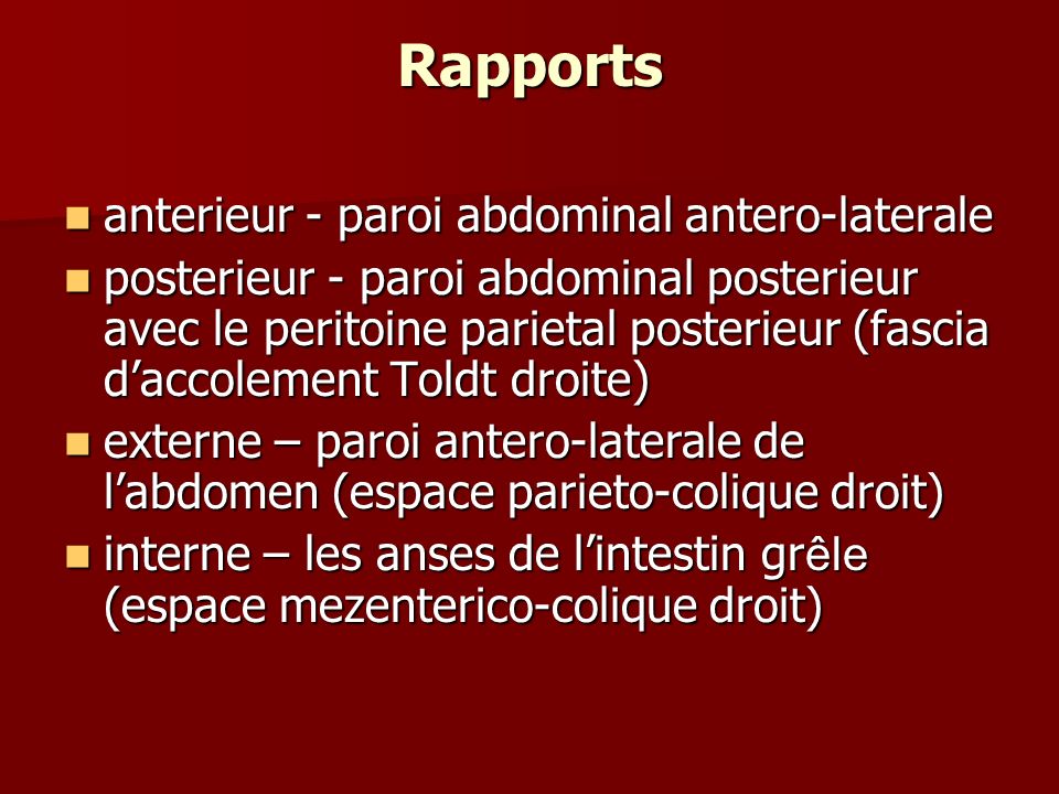 Rapports anterieur - paroi abdominal antero-laterale