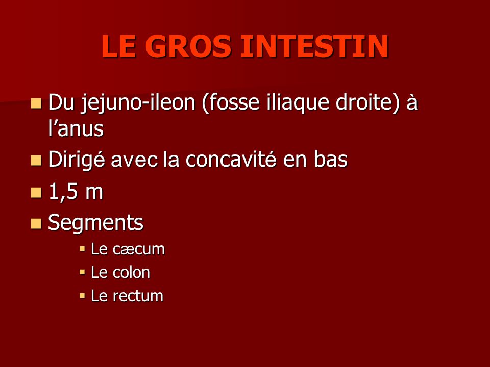 LE GROS INTESTIN Du jejuno-ileon (fosse iliaque droite) à l’anus