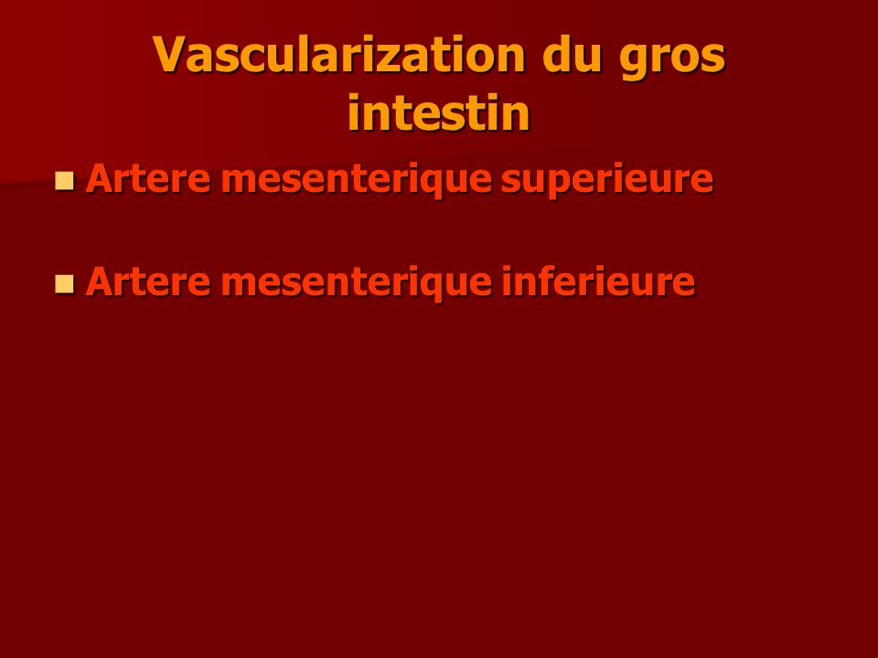 Vascularization du gros intestin