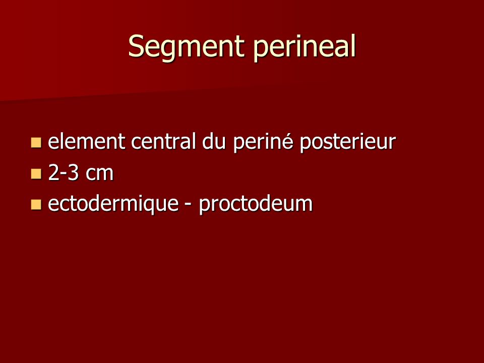 Segment perineal element central du periné posterieur 2-3 cm