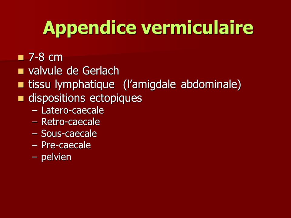 Appendice vermiculaire