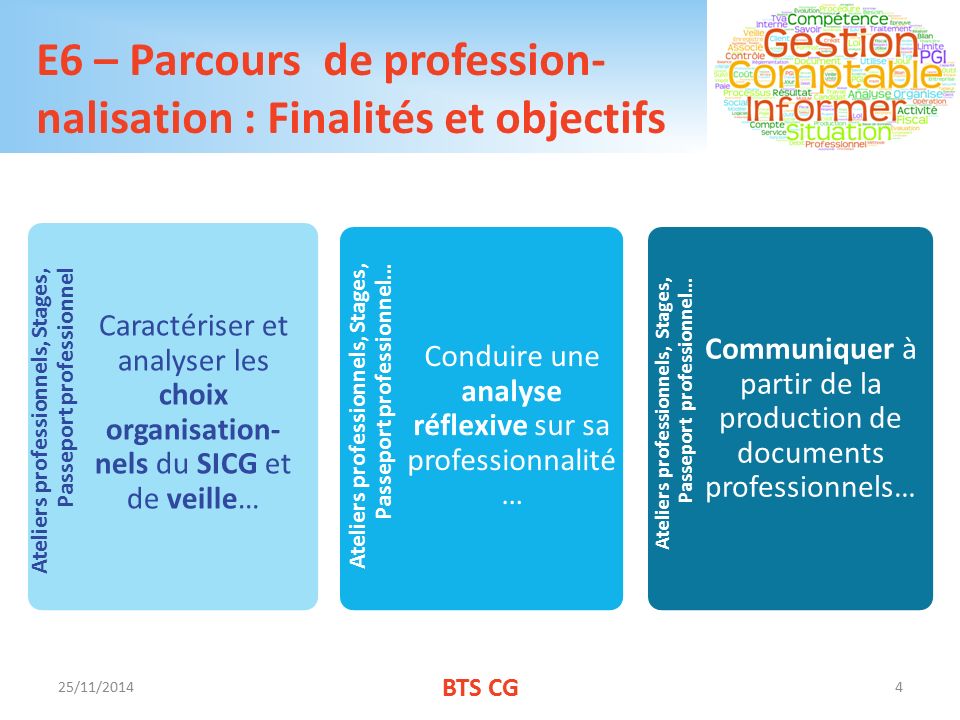 E6 – Parcours de profession- nalisation : Finalités et objectifs