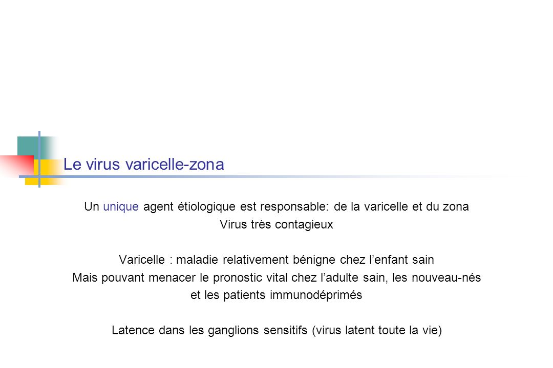 Le virus varicelle-zona