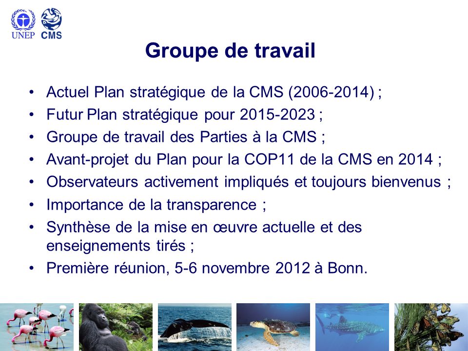 Groupe de travail Actuel Plan stratégique de la CMS ( ) ;