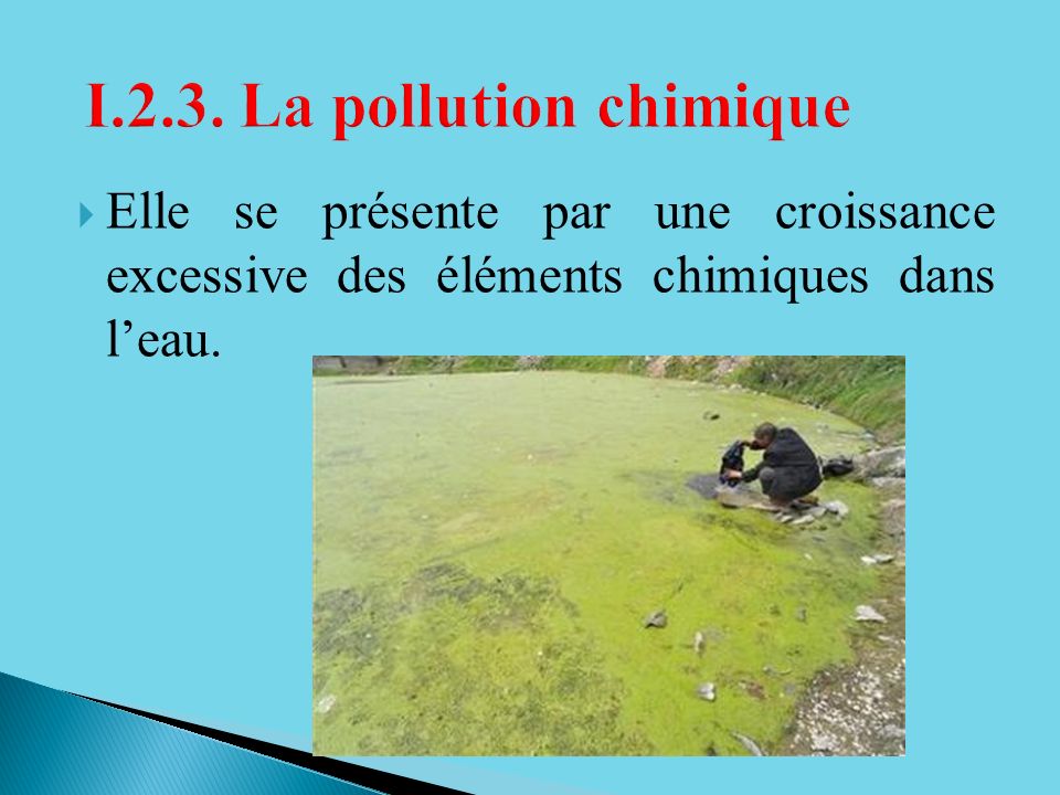 I.2.3. La pollution chimique