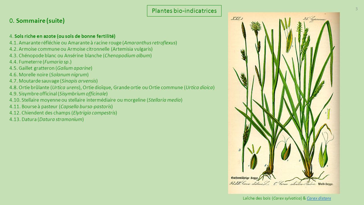 Plantes bio-indicatrices 0. Sommaire (suite)