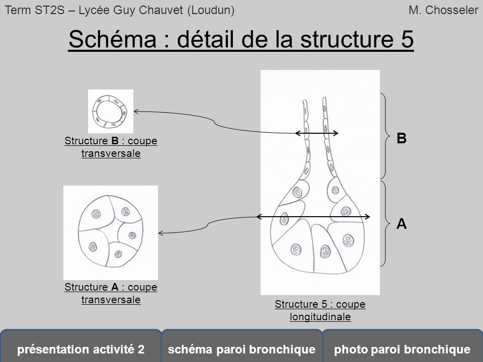 Schéma : détail de la structure 5