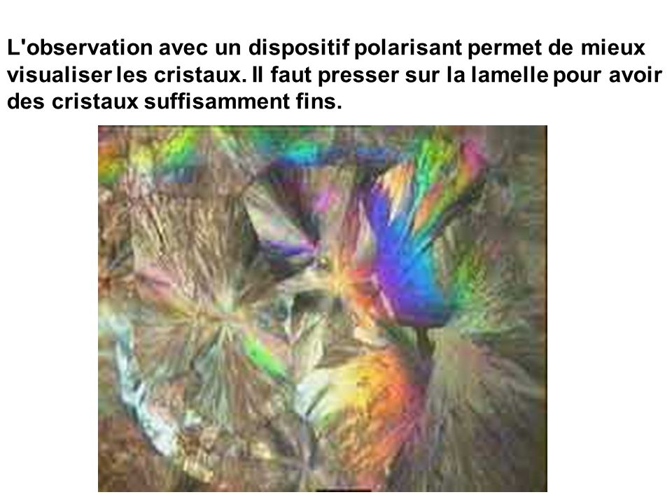L observation avec un dispositif polarisant permet de mieux visualiser les cristaux.