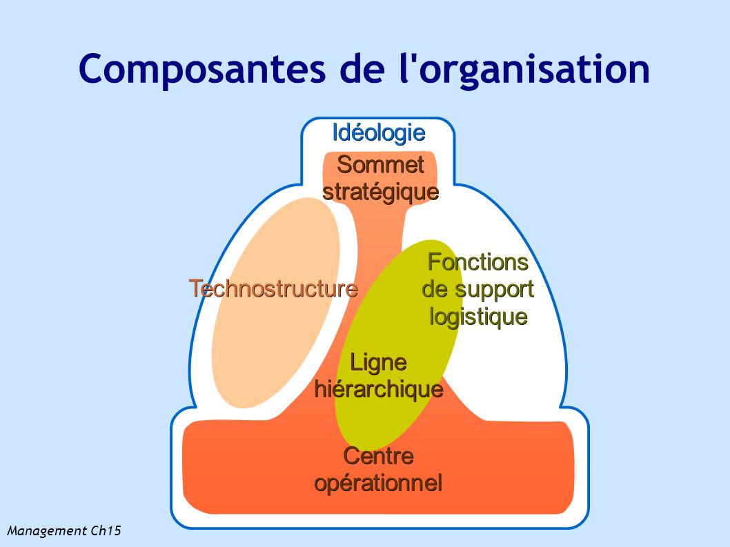 Composantes de l organisation