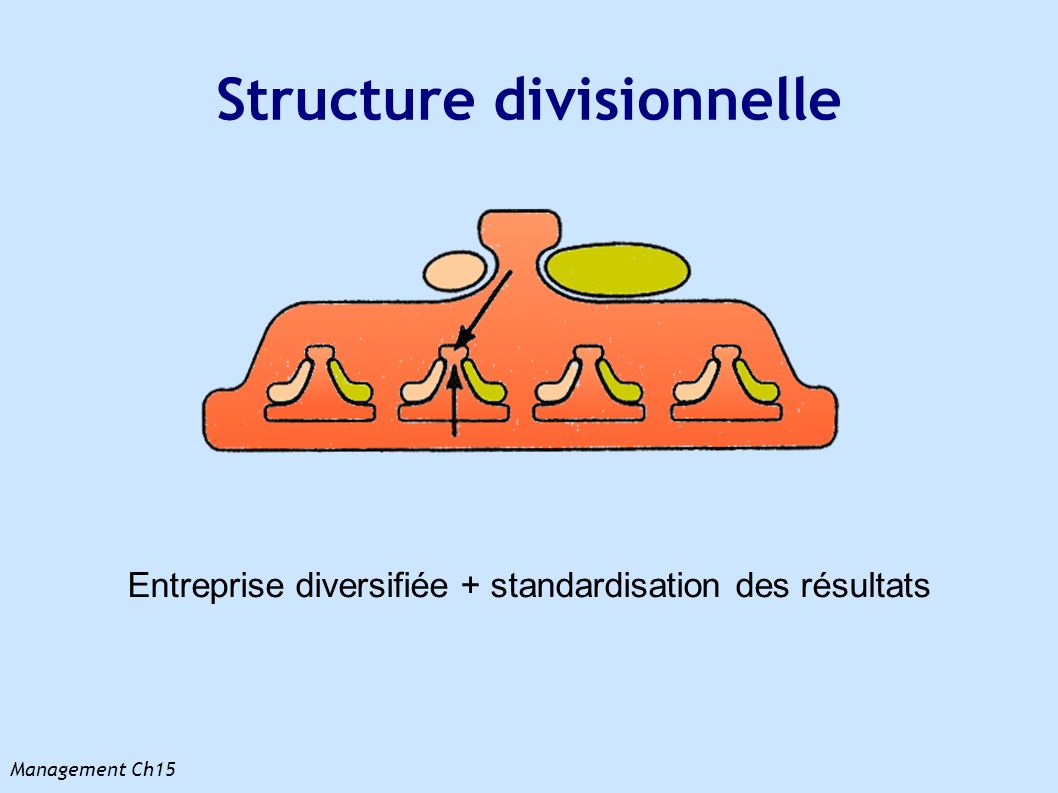 Structure divisionnelle
