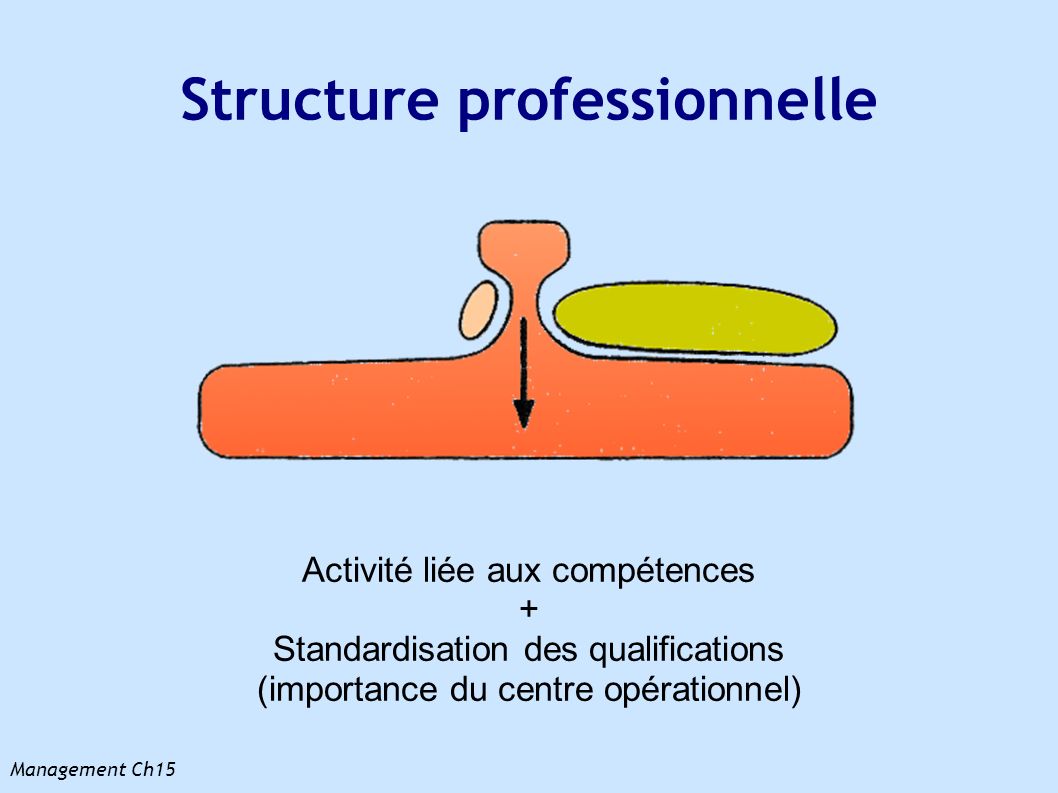 Structure professionnelle