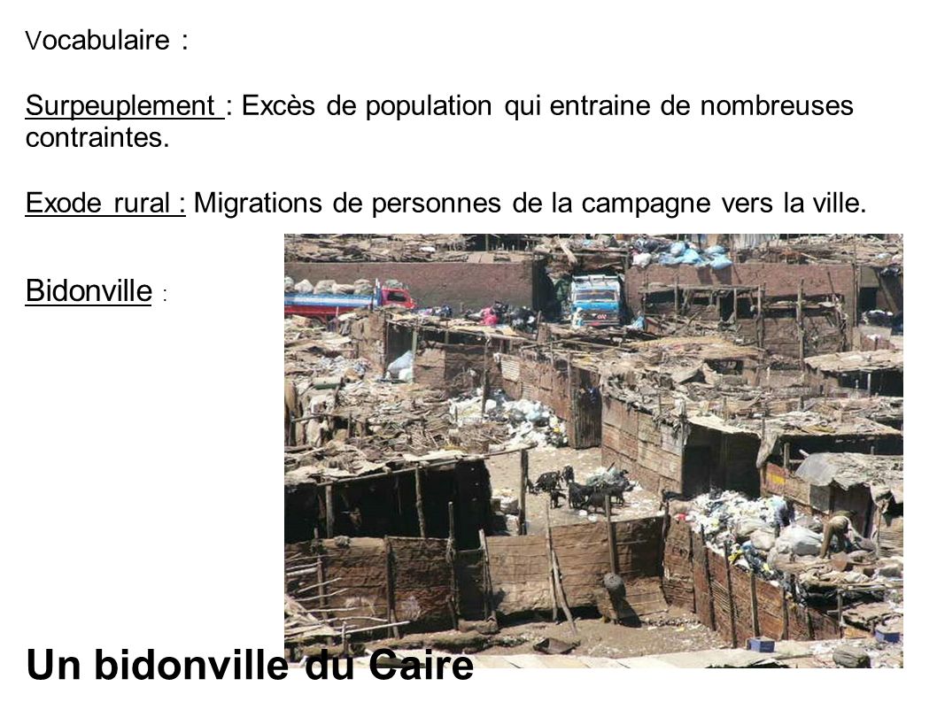 Un bidonville du Caire Bidonville :