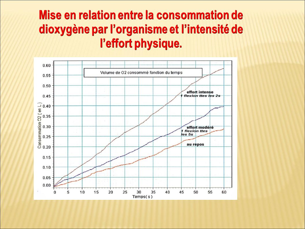 Mise en relation entre la consommation de dioxygène par l’organisme et l’intensité de l’effort physique.