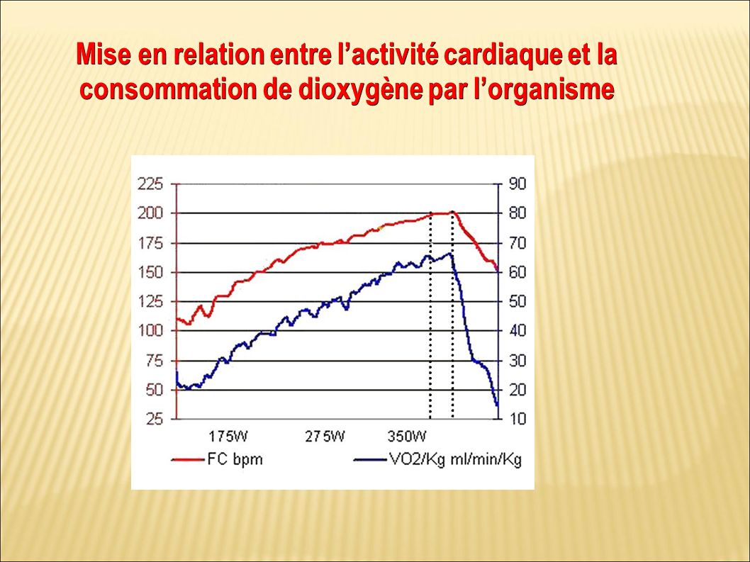 Mise en relation entre l’activité cardiaque et la consommation de dioxygène par l’organisme