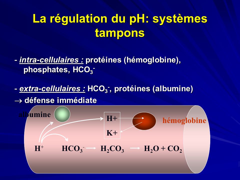 La régulation du pH: systèmes tampons