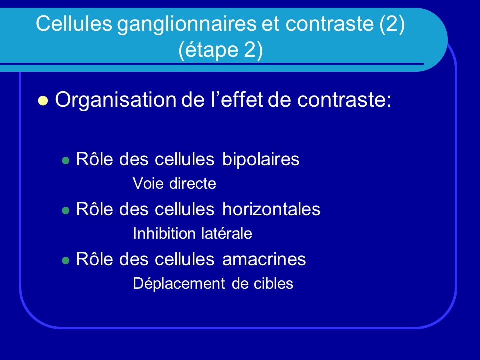 Cellules ganglionnaires et contraste (2) (étape 2)