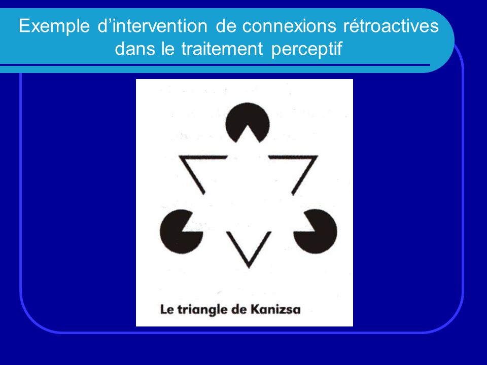 Exemple d’intervention de connexions rétroactives dans le traitement perceptif