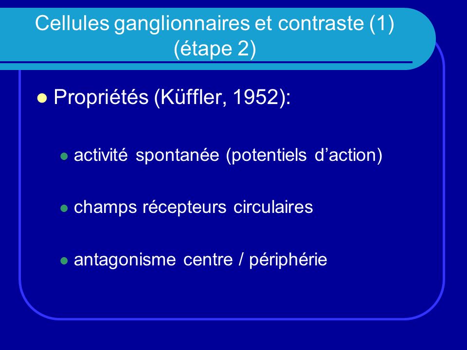 Cellules ganglionnaires et contraste (1) (étape 2)