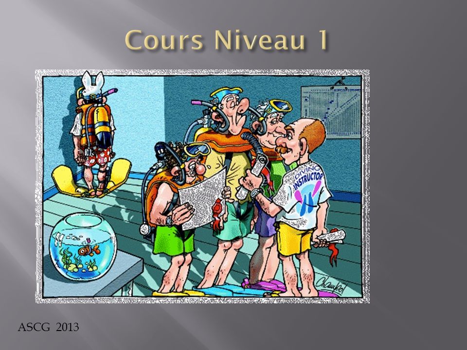 Cours Niveau 1 ASCG 2013