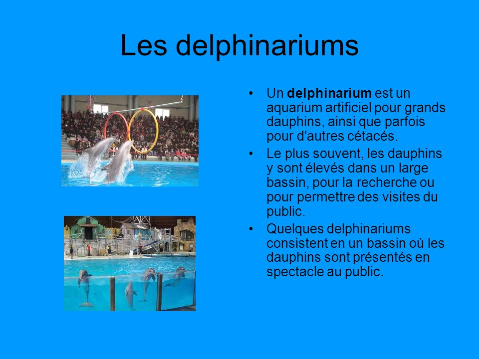 Les delphinariums Un delphinarium est un aquarium artificiel pour grands dauphins, ainsi que parfois pour d autres cétacés.