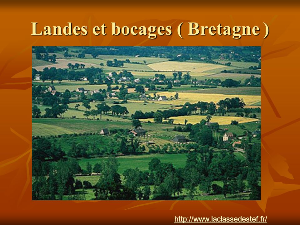 Landes et bocages ( Bretagne )