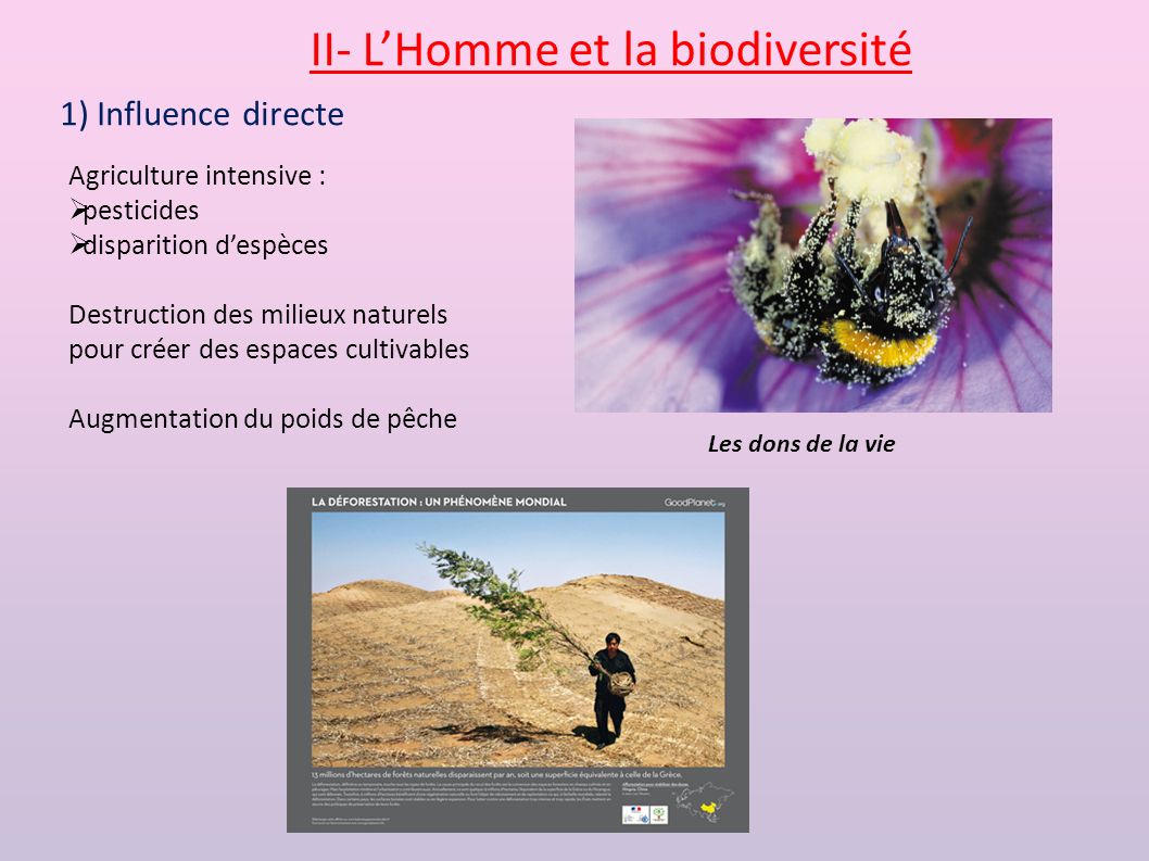 II- L’Homme et la biodiversité