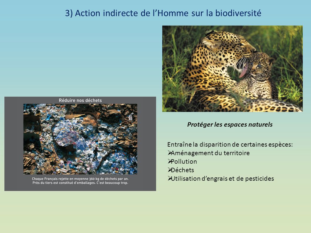 3) Action indirecte de l’Homme sur la biodiversité