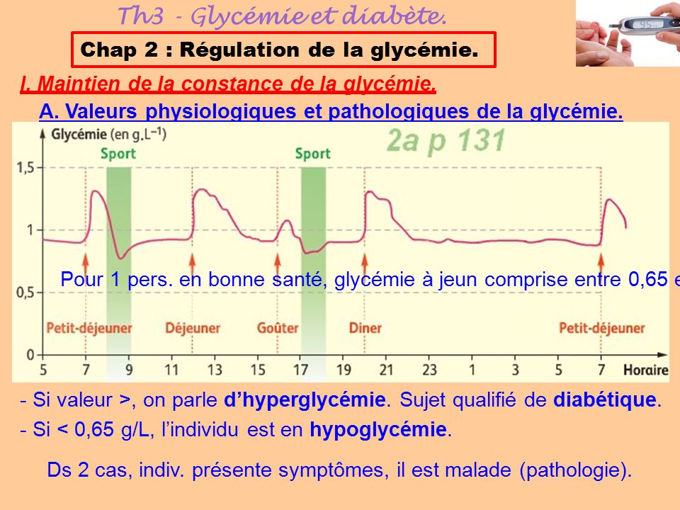 Th3 - Glycémie et diabète.
