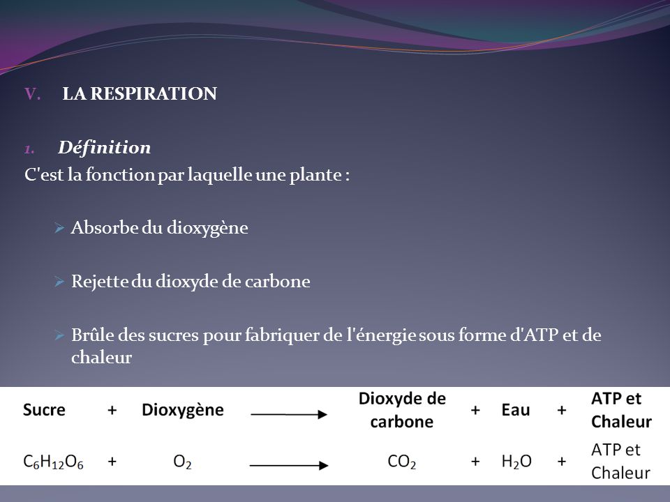 LA RESPIRATION. Définition. C est la fonction par laquelle une plante : Absorbe du dioxygène. Rejette du dioxyde de carbone.