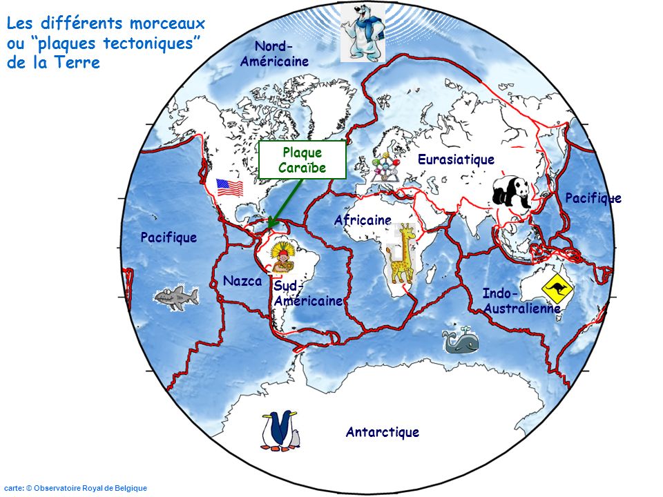 Les différents morceaux ou plaques tectoniques de la Terre