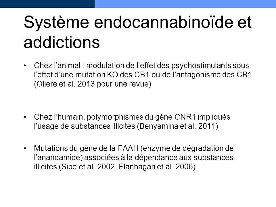 Système endocannabinoïde et addictions