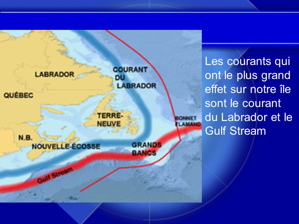 Les courants qui ont le plus grand effet sur notre île sont le courant du Labrador et le Gulf Stream