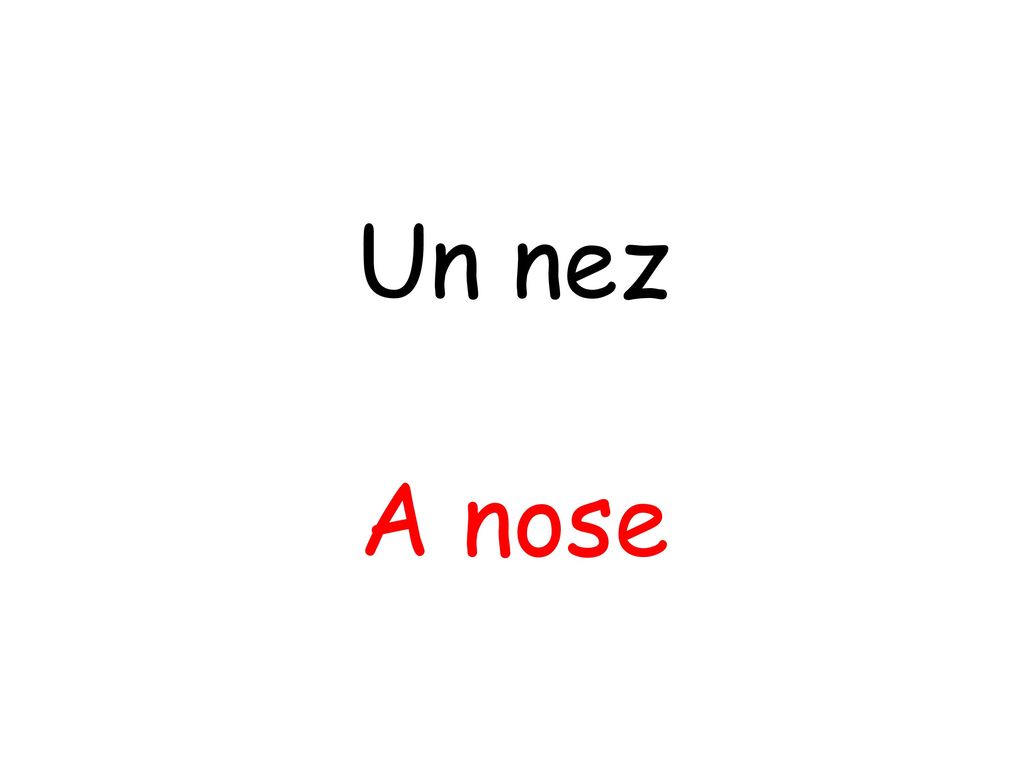 Un nez A nose